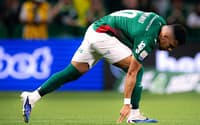 Paulinho - Palmeiras