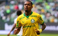 Allan, do Palmeiras, contra a Chapecoense (Foto: Yuri Murakami/f2.8 news/Folhapress)