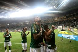 Palmeiras Allianz 17 (Foto: Reginaldo Castro)