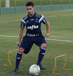 Gabriel - Palmeiras (FOTO: Cesar Greco/Palmeiras)