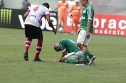 Campeonato Paulista - Palmeiras x Linense (foto:Reginaldo Castro/LANCE!Press)