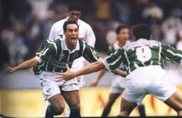 Defendeu o Palmeiras entre 1993 e 1995, e fez parte, assim, da geração bicampeã do Campeonato Paulista e do Campeonato Brasileiro. Tornou-se ídolo do Verdão, onde ganhou o apelido de 'Animal', e retornou à equipe no fim da carreira, mas também foi relevante.