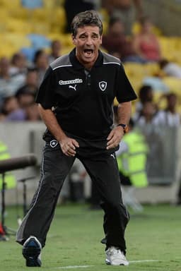 Eduardo Hungaro era o técnico do Botafogo em 2014. Veja na galeria as opções que ele tinha no elenco