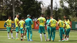 Por 'respiro' a titulares durante Copa do Brasil, Palmeiras vê planejamento bem-sucedido