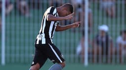 Confira as imagens da vitória do Botafogo