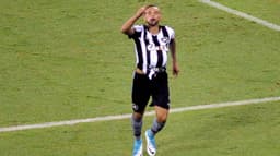 Confira as imagens da vitória do Botafogo no Nilton Santos