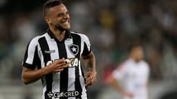 Botafogo 2 x 0 Santos: as imagens no Nilton Santos