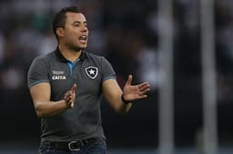 Botafogo 2 x 3 Vitória: as imagens no Nilton Santos
