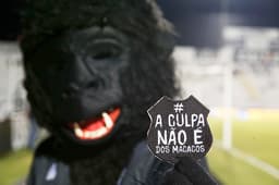 Ponte Preta promove campanha contra a violência aos macacos