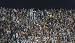 Torcida - Palmeiras