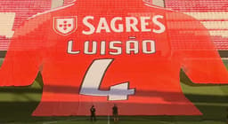 Luisão - Benfica