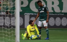 Palmeiras x Fluminense - Julio Cesar
