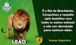 1º) Palmeiras / Leão