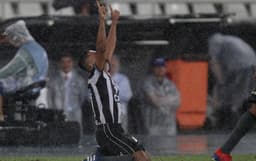 Botafogo x Defensa y Justicia entraram em campo nesta quarta-feira. Confira a seguir a galeria especial do LANCE!