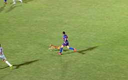 Cachorro invade campo no campeonato amazonense