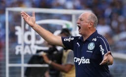 CSA x Palmeiras - Felipão