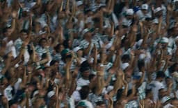 Torcedores do Palmeiras xingaram a Rede Globo durante partida exibida na TNT