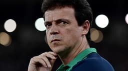 Fluminense x Cruzeiro Fernando Diniz