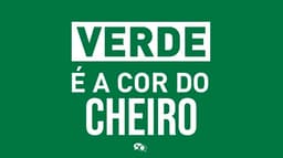 Web não perdoa Palmeiras após perda do título do Brasileirão