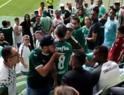 Briga - Palmeiras
