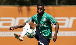 Borja Palmeiras