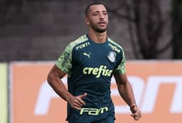 Vitor Hugo Palmeiras
