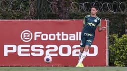 Diogo Barbosa Palmeiras