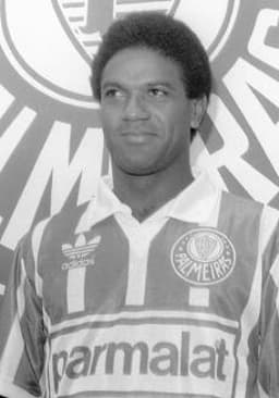 Mazinho Palmeiras 1993