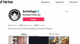 TikTok Botafogo