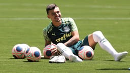 Victor Luis Palmeiras
