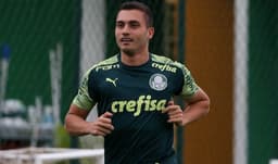Luan Silva Palmeiras
