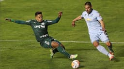 Disputa - Bolívar x Palmeiras