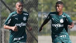 Vareta Luiz Freitas Palmeiras