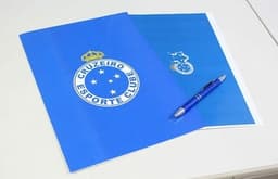 A votação do novo estatuto do Cruzeiro estáva agendada para o dia 24 de novembro, mas foi suspensa pela Justiça