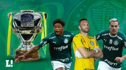 Final Copa do Brasil - Palmeiras