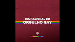 Dia Nacional do Orgulho Gay