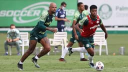 Palmeiras treino Felipe Melo Newton
