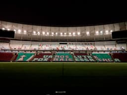 Mosaico Fluminense