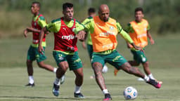Palmeiras treino Paraguai