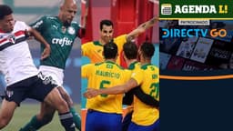 São Paulo e Palmeiras e o time masculino de vôlei do Brasil.