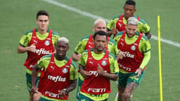 Meio-campistas - Treino Palmeiras