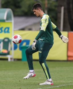 Vinicius - Palmeiras