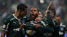 Palmeiras x Botafogo - Wesley