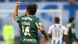 Avai x Palmeiras - Scarpa