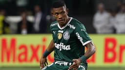 Palmeiras x Santos - Danilo