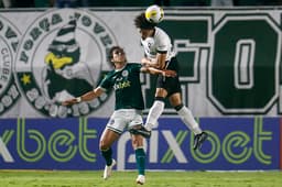 Goiás x Botafogo - Adryelson