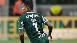 Palmeiras - Dudu
