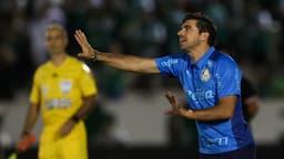 Abel Ferreira - Botafogo-SP x Palmeiras