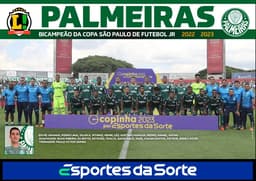 Revista Pôster Palmeiras