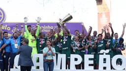 Palmeiras campeão Copinha